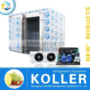 Koller Cold Storage Room Freezer for Meats/ Fishes/ Ice Block/ Fresh Flowers thumbnail-1
