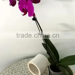 Guangzhou Factory High Quality Full Resin Ribbon Self Adhesive Labels Stickers thumbnail-4