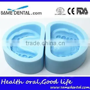 Plaster Model Mold Dental Eduction Assistant No. DEA-11 thumbnail-2