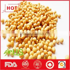 Hot Sale Dried Soybeans in Bulk With High Quality thumbnail-1