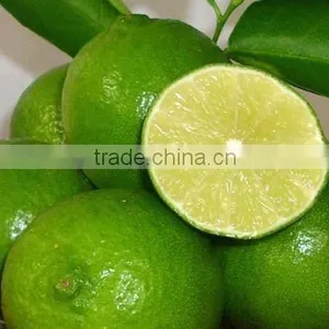 FRESH LEMON & FRESH LIME BEST Price thumbnail-1
