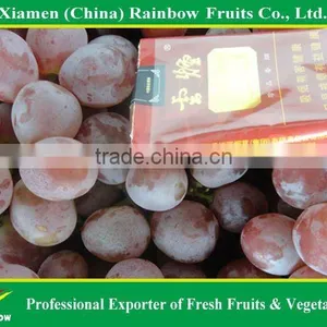 Grapes From China With Sweet Taste thumbnail-4