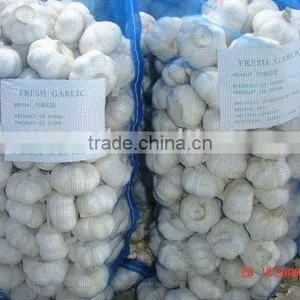 New Garlic;white Garlic thumbnail-1