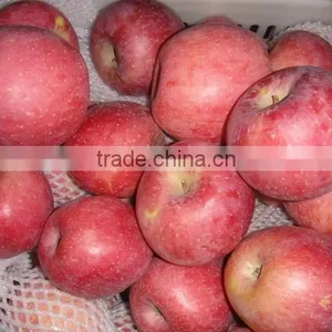 Fresh Qinguan Apple thumbnail-2