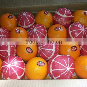 ISO 9001:2008 for Forwell Oranges and Lemons thumbnail-6