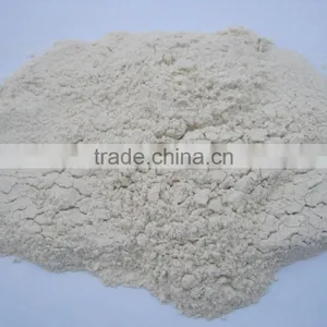 Dehydrated White Onion Powder thumbnail-1