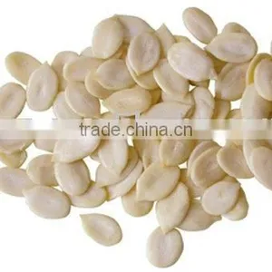Chinese Watermelon Kernels New Crop thumbnail-1