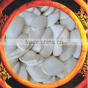 Chinese Snow White Pumpkin Seeds ( Squash Seeds) thumbnail-1