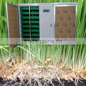 CE Certificate Trade Assurance Barley for Sprouting thumbnail-1