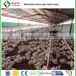 Hot Sale Broiler Breeder Chicken Poultry Breeding Houses thumbnail-1