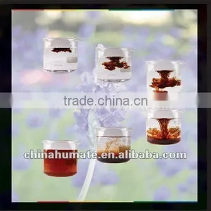Natural Potassium Humate Fertilizer thumbnail-1