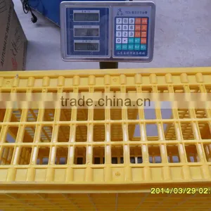 Solid Plastic Cock Cage thumbnail-4
