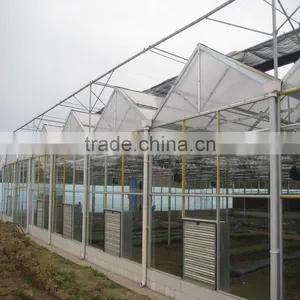 Garden /glass Greenhouse Film System thumbnail-1