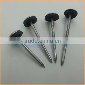 Top Quality Galvanized Umbrella Roofing Nails to Tanzania Trusted Chuanghe Suppliers From Com thumbnail-2