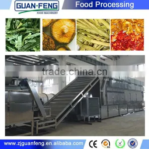 Popular Drying Plant Food Belt Dryer Dates Production Line thumbnail-4