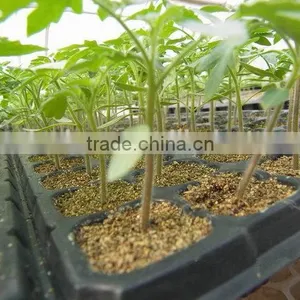 The Newest Promotion Personalized Rice Seedling Tray Wholesale thumbnail-1