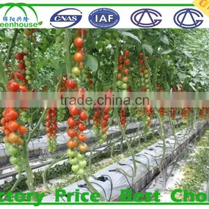 High Quality Geodesic Dome Greenhouse for Sale thumbnail-5