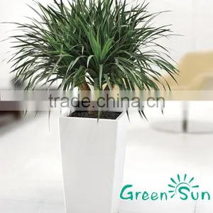Plastic Garden Pots Manufacture thumbnail-1