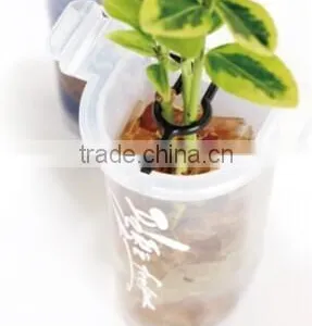 BPA Free Mini Plastic Flower Pot thumbnail-2