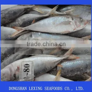 Whole Round Red Tail Horse Mackerel thumbnail-1
