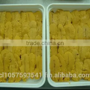 UNI Sea Urchin thumbnail-6