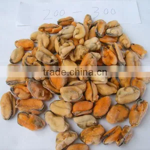 Frozen Boiled Blue Mussel Meat thumbnail-1