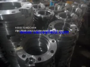 Steel Flanges thumbnail-2