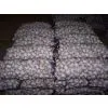 5cm Fresh White Garlic thumbnail-1