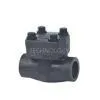 Piston Check Valve(Lift Check Valve) thumbnail-1