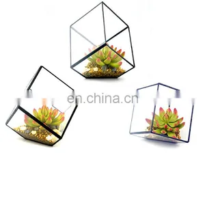 Terrarium Geometric Glass Terrarium Wholesale Drop Shape thumbnail-3