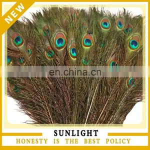 Wholesale Cheap Peacock Feather for Hair Accessories thumbnail-1