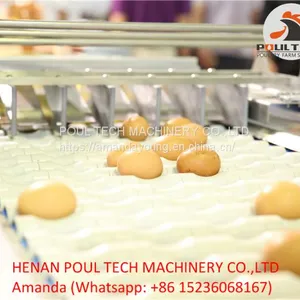 Egg Packing Machine thumbnail-3