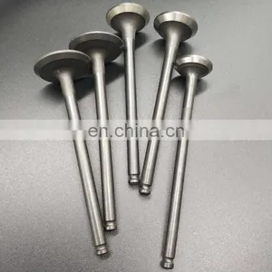 Factory Directly Motorbike Spare Parts For Honda XR250r Xr250 23.5*5*95.6 28.5*5.0*96 Engine Valves thumbnail-6