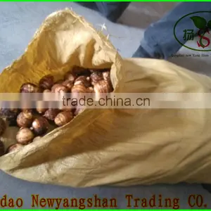 Little Red Onion Exports Southeast Asia/dubai/Fresh Onions thumbnail-5