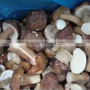 Frozen Boletus Edulis, Whole, Grade A, 2-4cm thumbnail-1