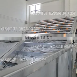 Industrial Dried Fruit Processing Line thumbnail-2