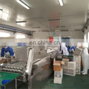 Factory Genyond Automatic Egg Washing Breaking Egg Liquid Pasteurization Making Machine Egg Powder Process Plant Production Line thumbnail-3