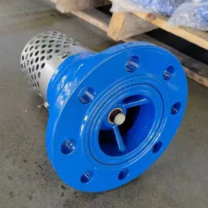 JIS/ANSI/DIN Foot Valve Cast Iron GGG50 Ductile Iron Flange Stainless Steel Filter Strainer Water Pump thumbnail-5