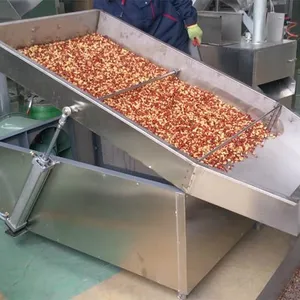 Peanut Roasting and Coating Product Line thumbnail-6