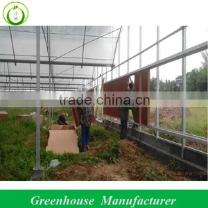 Agriculture Green House Suppliers In Middle East Quality Choice thumbnail-1