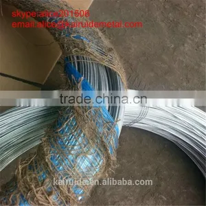 China Factory Hot Sale Hot Dipped Galvanized Wire/galvanized Wire thumbnail-3