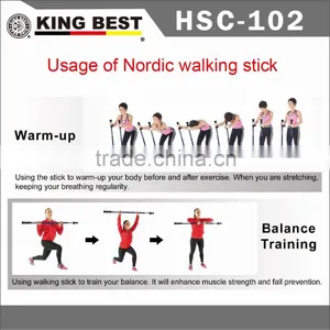 KING BEST Wholesale Carbon Trekking Pole 2-SECTION Hiking Pole Nordic Walking Stick thumbnail-5