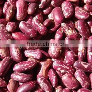Purple Speckled Kidney Beans thumbnail-1