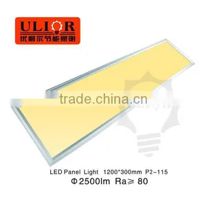 HOT SALE 3000K-6000K CCT Adjustable LED Panel 1200x300 Dimming Led Panel thumbnail-1