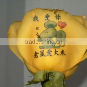 Chinese High Speed Affordable Digital Flower Printer for Sale thumbnail-3
