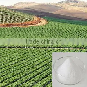 Polimero Absorbente Estupendo no Toxico Para Usos Agricolas thumbnail-1