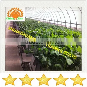 HDPE Greenhouse Growing Tray and Grow Box thumbnail-1