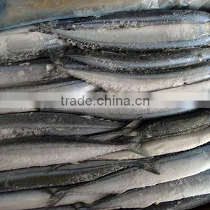 Whole Round Frozen Pacific Whole Round Taiwan Saury thumbnail-1
