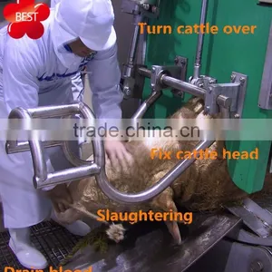 50 Cattle Cow Beef Abattoir Slaughterhouse Machinery Plant Hog thumbnail-2