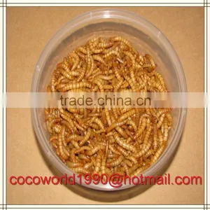 Dried Mealworms Good for Birds/dried Mealworms Good for Birds/dried Mealworms thumbnail-1